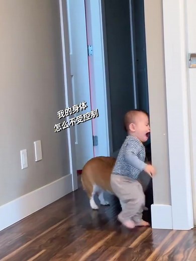 汪了個汪→頭疼嗎#狗 #狗狗 #萌寵 #萌寵搞笑合集 #萌寵facetime #萌寵巡邏 #萌寵範例影片 #萌寵當家 #dog #dogs #doglover #doggo