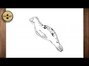 How to draw a leopard seal step by step
