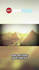 How we came to Life. #thewhyfiles #hecklefish | The Why Files