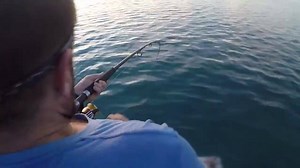 Toute une surprise! Un mérou goliath tente de voler la prise de ce pêcheur en plein océan Atlantique...Impressionnant! Via JukinVideo | HuffPost Québec