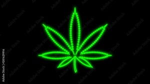 Flickering retro green neon marijuana weed on weed shop Wall Background