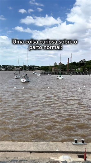 O parto normal é um processo fisiológico do corpo. Mas muitas mulheres chegam ao hospital e rapidamente escutam que o parto está “demorando”. Nem sempre um parto mais longo significa que algo está errado. Cada corpo e cada bebê têm seu próprio tempo para nascer. Informação de qualidade muda completamente a forma como uma mulher vive o parto. Você já ouviu alguém dizer que o parto estava demorando? #partonormal #partohumanizado #gestante #doula #trabalhodeparto