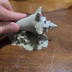 Conch Shell Ashtray, Personalizable - Etsy