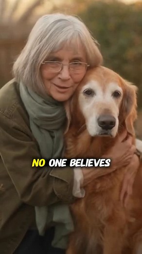 And here’s what I still do with every pup that comes through my home: 🦷 Bad Breath: A little parsley mint yogurt keeps their breath sweet and their gums healthy. 🌿 Comment “MINT” and I’ll share my exact recipe. 🐾 Itchy Skin: Coconut oil turmeric — it calms redness and keeps their coat shining like the sun. 💛 Comment “PASTE.” 🐜 Fleas: A simple apple cider vinegar water spray (1:1). Oh, how many summers this has saved us. 🍎 Comment “FLEA.” 🦴 Aging Joints: A warm spoon of bone broth every da