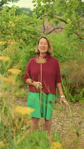 Our Garden Festival is back for 2026