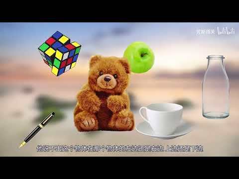 Unraveling Visual Neurological Disorders: A Deep Dive into the Brain's Visual System