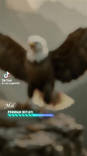 #followme #comment #share #addfavorite