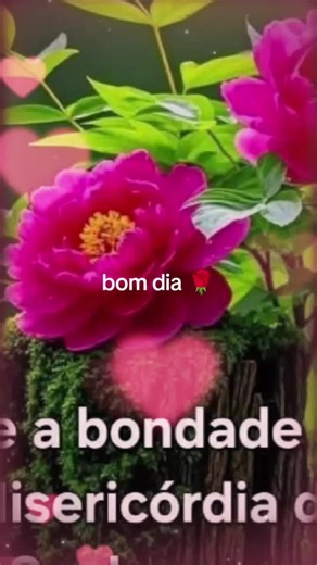 MARELi bombarda -oficial 650 no TikTok