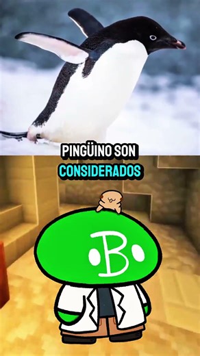 🐦 La Diferencia entre Ave y Pájaro | Biología Desde Cero