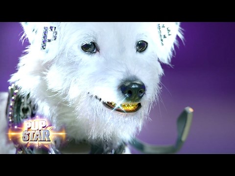 Trailer | Pup Star | Disney Channel