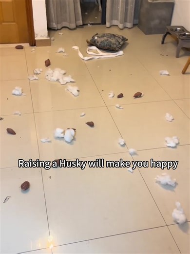 #merrychrismas #dog #fyp #USA #dogsoftiktok #dogs