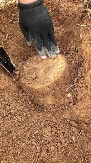 Treasure Hunting Hobby: Detecting Finds
