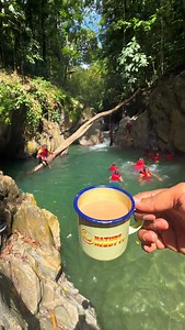 $100pp🇹🇹Cafe Pool❤️ Sat 10th Jan. 4/10 7am Southpark 7:30am Mt Hope. transport $120pp additional WhatsApp 1868 759 2410 or www.naturenerdstt.com to register and pay. #trinidad #trinidadandtobago🇹🇹 #trini #trinidadandtobago #naturenerds | Nature Nerds TT