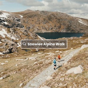 NSW National Parks and Wildlife Service on Reels