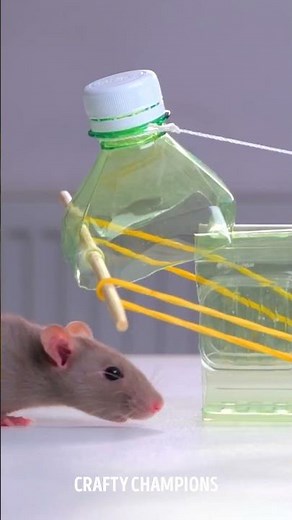 How To Make The Most Humane Mouse Trap! 🐭 Safe And Easy!