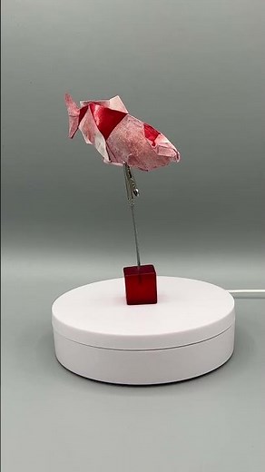 [Origami Japanese Carp (Koi) Time-Lapse 🎥]