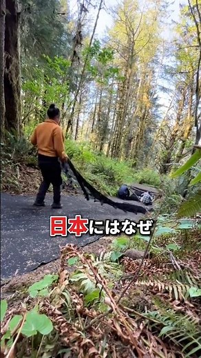 なぜ数百年もつ？ カナダの道路技術