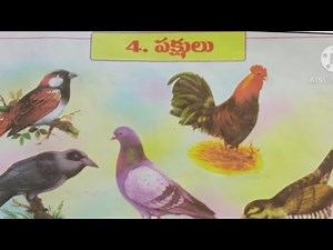 pakshulu lesson in telugu
