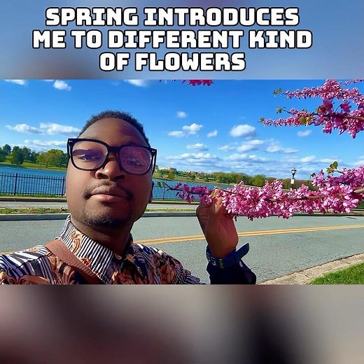 Just a random flower… but wow — spring makes everything beautiful.