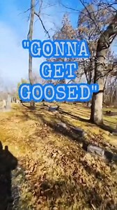40K views · 1K reactions | The #spirits says'Gonna Get Goosed' and 'Tickle' at the same cemetery they had previously said they were going to 'Poke' me in the 'B~tt' #hauntedcemetery #ghosthunting #paranormalactivity #paranormalinvestigation #haunted #paranormalinvestigator #ghost #hauntedplaces #ghoststories #paranormal #spiritcommunication #paranormalevidence #inthepresenceofothers | In the Presence of Others Paranormal | Facebook