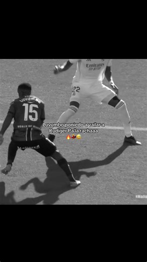 Roky y Rudiger: Humor y Baile en Parati