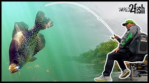 27K views · 232 reactions | How you position your rod can have a big impact on crappie fishing success. Mr. Crappie explains... | Wired2Fish | Facebook