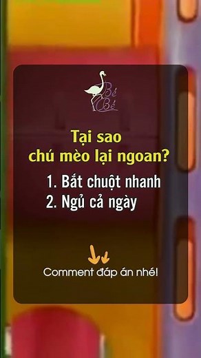 Thử Thách Bé Thông Minh ♫ Chú Mèo Con P2 ♫ Xuân Mai ♫ Nhạc Cho Bé Yêu #shorts