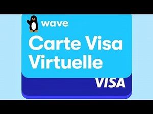 How to use the VISA WAVE card