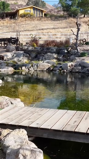 Build me a Natural Pool that is Different 😎 #landscapedesign #lagoon #naturalpool #swimmingpool