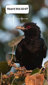 2.6K views · 27 reactions | This summer, many of us in the team have...