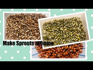 How to make sprouts at home in one day!
