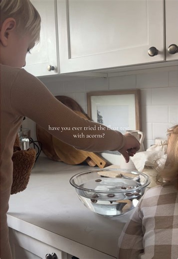 How to do the float test to find acorns that will grow into your very own oak tree 🍂 #slowliving #sahm