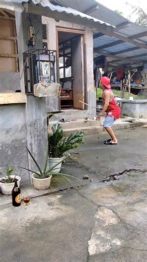 May ahas🐍🐍 doy | Praning Tv