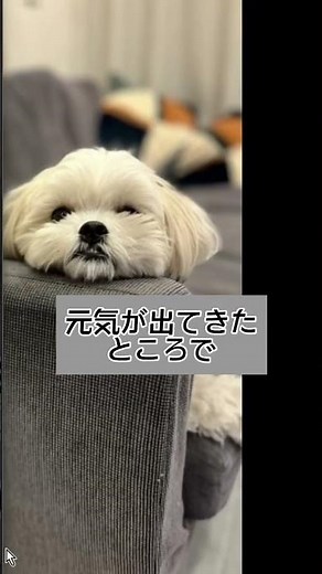 定時10分前から使いたいデスクトップの整理術3選。 #shorts