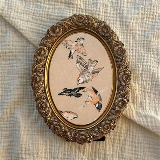 Vintage Bird Study Naturalist Art Print, Ornithological Sketch Kraft, Farmhouse Wall Decor (instant Download) - Etsy