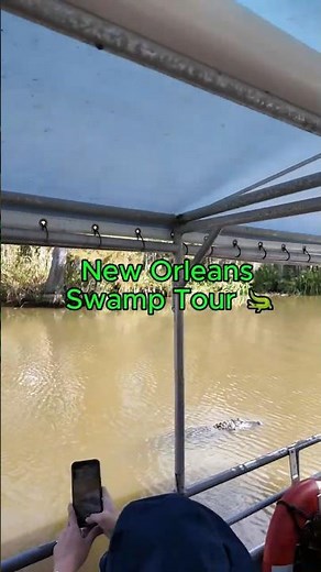 New Orleans swamp tour
