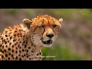 Project Rewild | Supporting Wildlife, Land, and Communities | Great Plains Foundation