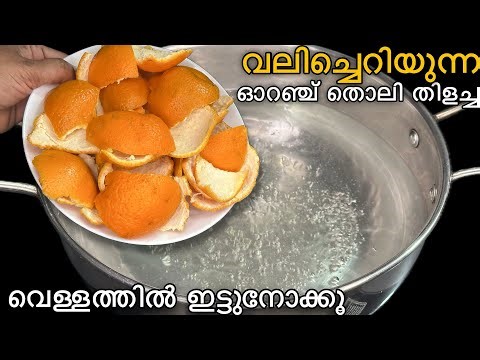 😋ഓറഞ്ച് തൊലിയുടെ ഈ രഹസ്യമറിഞ്ഞാൽ ഇനി കളയില്ല നാവിൽ അലിഞ്ഞിറങ്ങും മധുരം Orange | healthy recipe