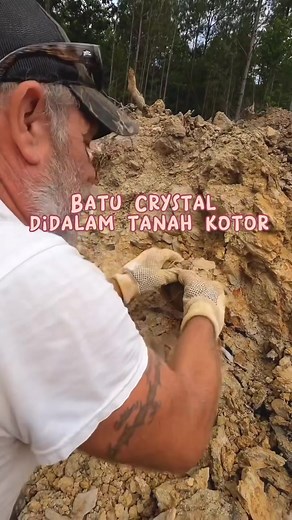 Mencari Kristal Cantik di Hutan: Pengalaman Unik