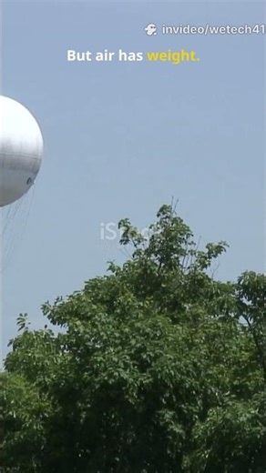 This Is Why Balloons Rise in Air #facts #amazingfacts