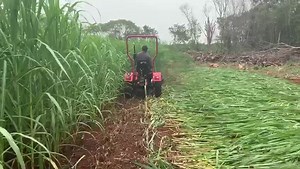 21K views · 4.7K reactions | Solicita tu crédito en este link https://forms.zohopublic.com/grupocomercom/form/CrditosMekatech/formperma/7KxHQDkEvfKDEv4BKwLw6b2COnXAb9qgocByM-9uquo Ahora toco en el sureste de México, estamos segando pasto para darle de comer al ganado con TECNOLOGÍA mekatech .... .... ..... Tel. 55 4169 3000 | Mekatech | Facebook