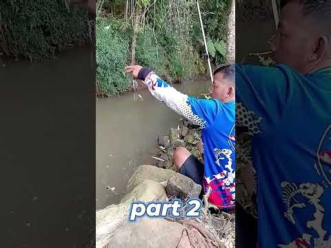 Wader Fishing Full Strike Part 2