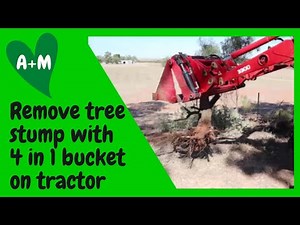 Remove a tree stump with 4 in 1 bucket on tractor frontend loader