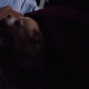 61K views · 7.7K reactions | Jijijiji Sorry papá | Princes | Facebook