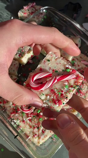 Easy Holiday Fudge Recipe