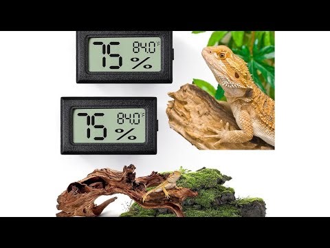 Reptile Thermometer and Humidity Gauge