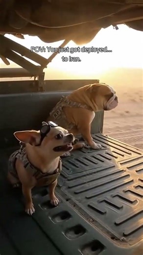 Its all fun and games until you just got deployed