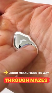 Autonomous liquid metal finds its way through mazes | The Action Lab