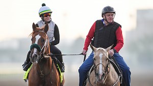 Every horse running in Kentucky Derby 2025 is a descendant of this racing legend