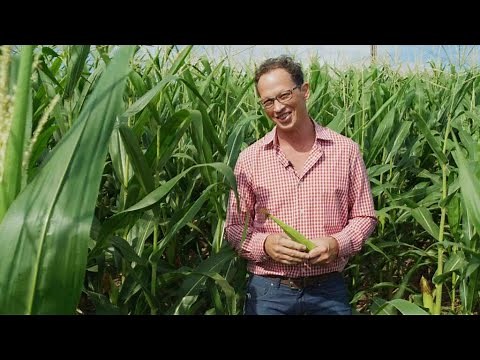 Bourbon 101: From Grain to Still—First Steps in Making Whiskey